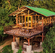Hotels in Kanha national park